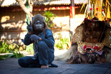 BALI, INDONESIA  APRIL 9: Balinese actor (Monkey) during a classic national Balinese dance formal wear on April 9, 2012 on Bali, Indonesia. formal wear is very popular cultural show on Bali.